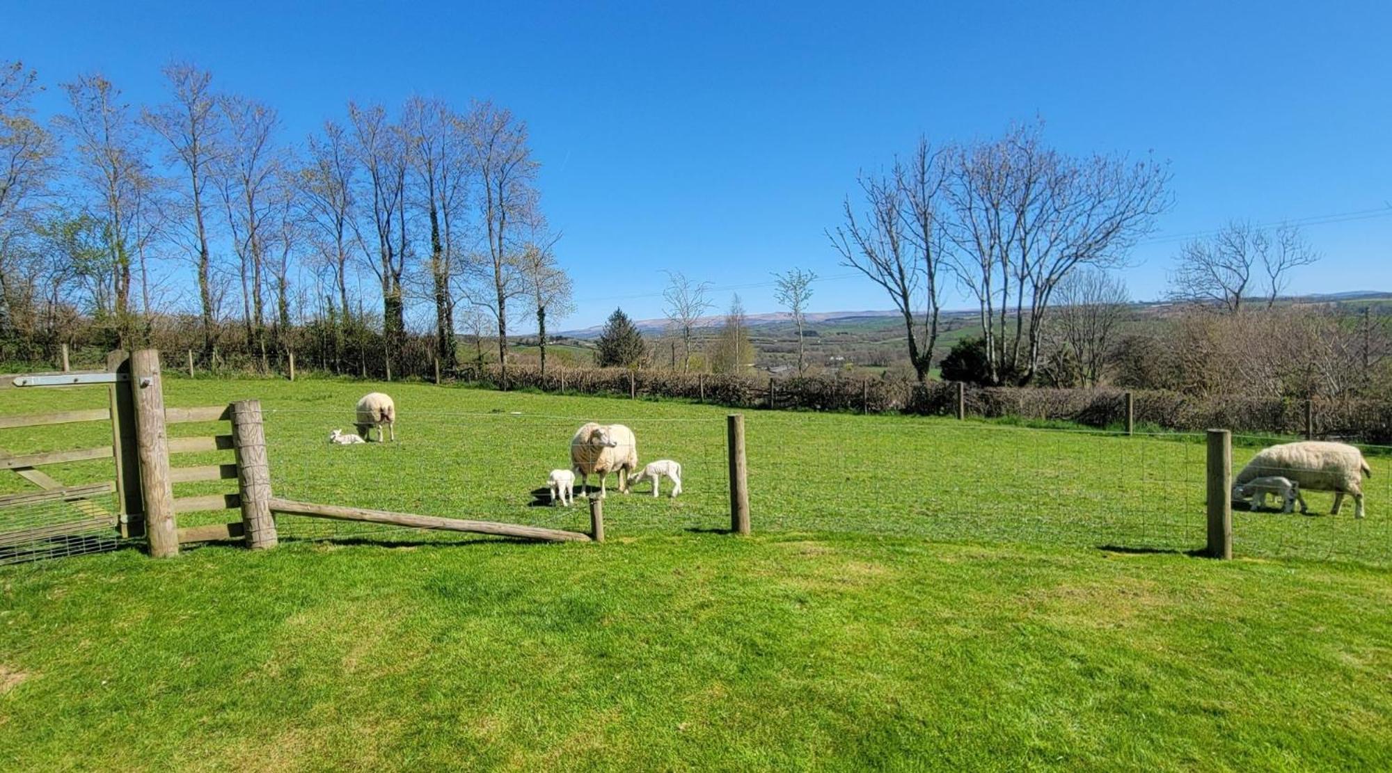 Couples Retreat In Beautiful West Devon Countryside Broadwoodwidger Exterior foto
